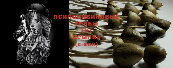 кокс Тутаев