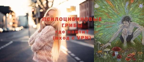 трава Тында