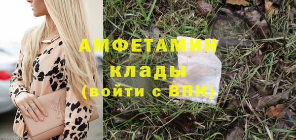 трава Тында