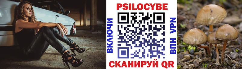 Псилоцибиновые грибы Psilocybe  Купить где  Омск 